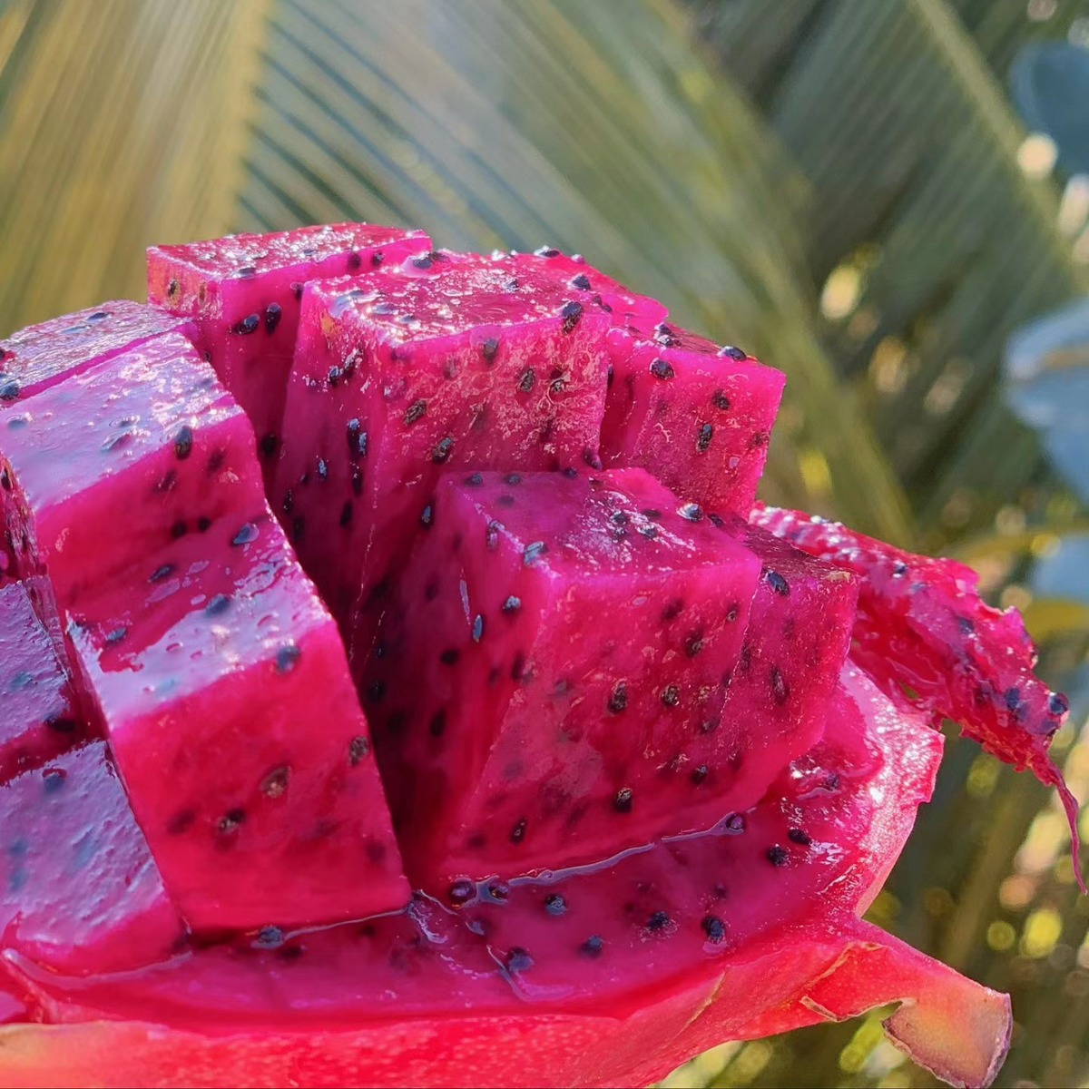 Dragon Fruit, Kyoto No. 1 Red Heart Variety, Thin Skin, Sweet Taste, Direct Delivery from the Place of Origin, Whole Box, One-Piece Delivery, Direct Supply from Yunnan