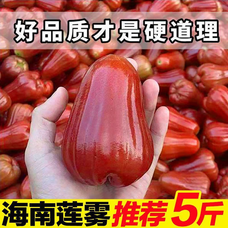 Хайнань Лотосовый туман 2.5кг Сезонные свежие фрукты туман Лотосовые фрукты Черный алмаз целая коробка свежесобранные увлажняющие фрукты 0.5-1.5кг