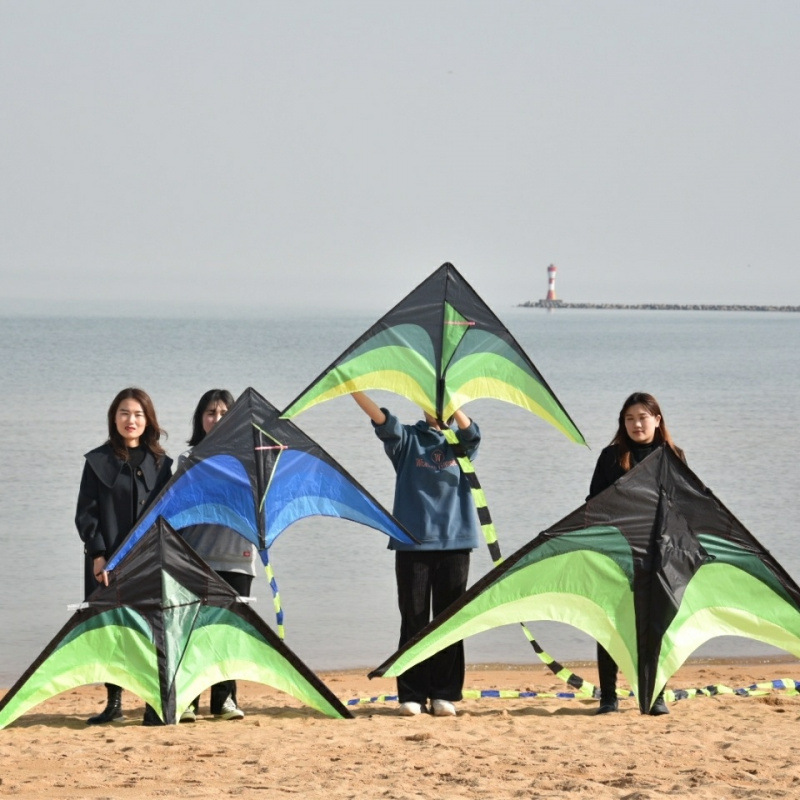 Weifang Kite New Prairie Kite Adult Children's Kite with Kite Line Breeze Easy to Fly Manufacturer Wholesale