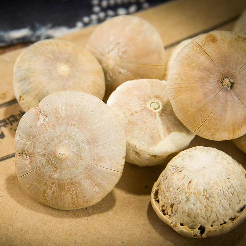 Material New Guangxi Fengliu Fruit 500g Wild Glans Tianzhu Grains for Wine