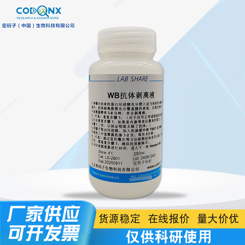 Wb Антитела Раствор для удаления Используется только для научных исследований Иммунология Эксперименты Белковая биохимия