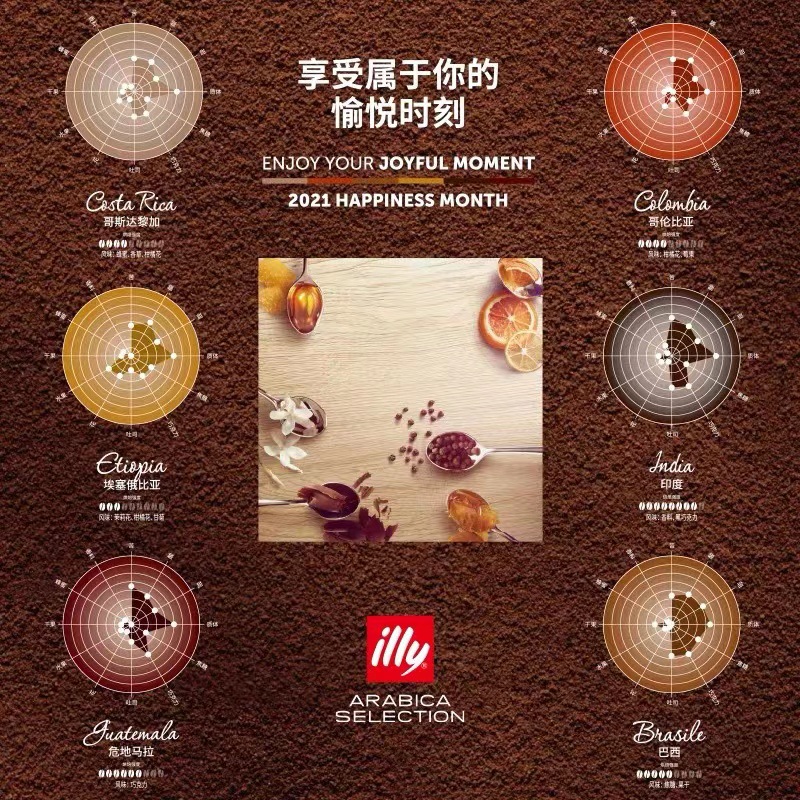 illy Coffee Beans Coffee Powder Arabica 250g Dark Roasted Hand Brewed Italian American Boutique