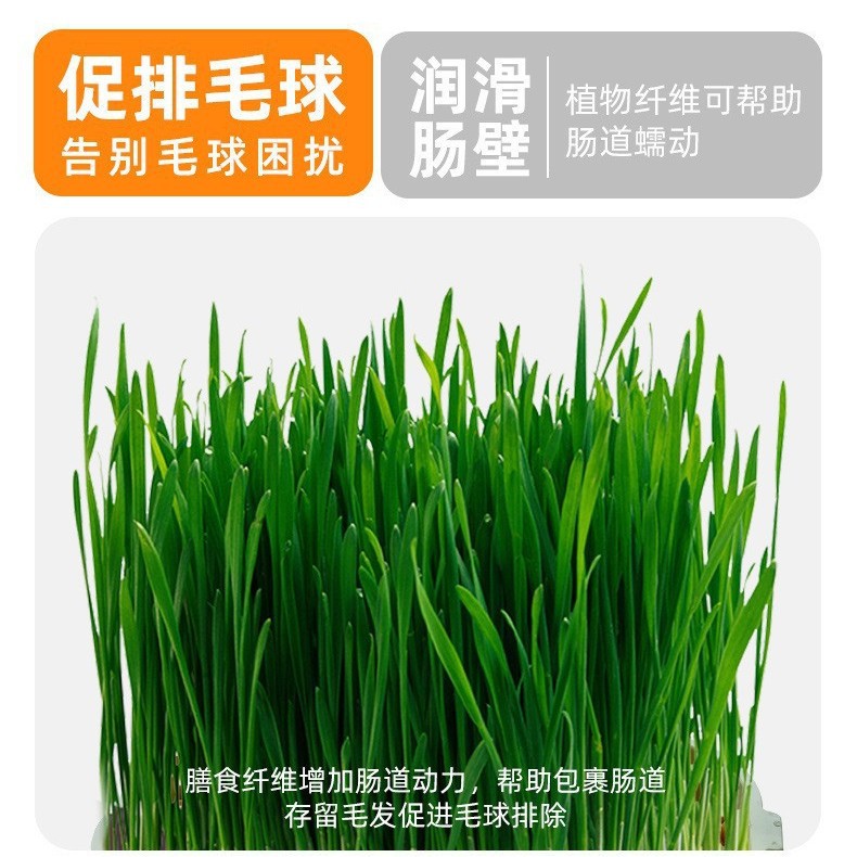 Hair Removal Cream for Cats, Vitamin Hair Ball Tablets for Kittens, Cat Hair Removal, Delicious Supplies, Dog Nutrition Cream