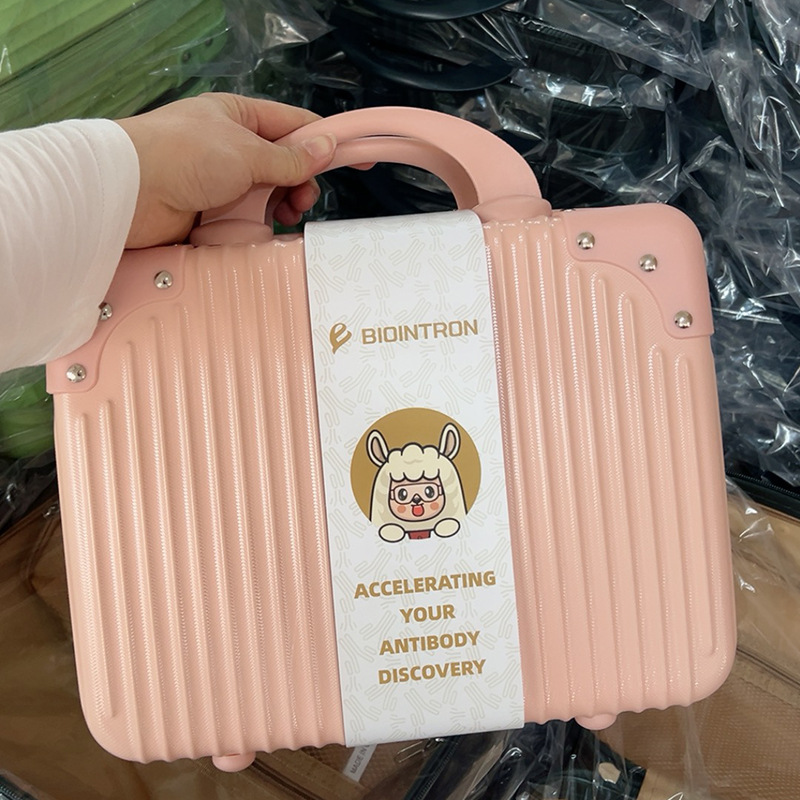 Mini Suitcase Cosmetic Case 14inch Souvenir Small Suitcase 16inch Password Suitcase Printed with Logo Gift Box