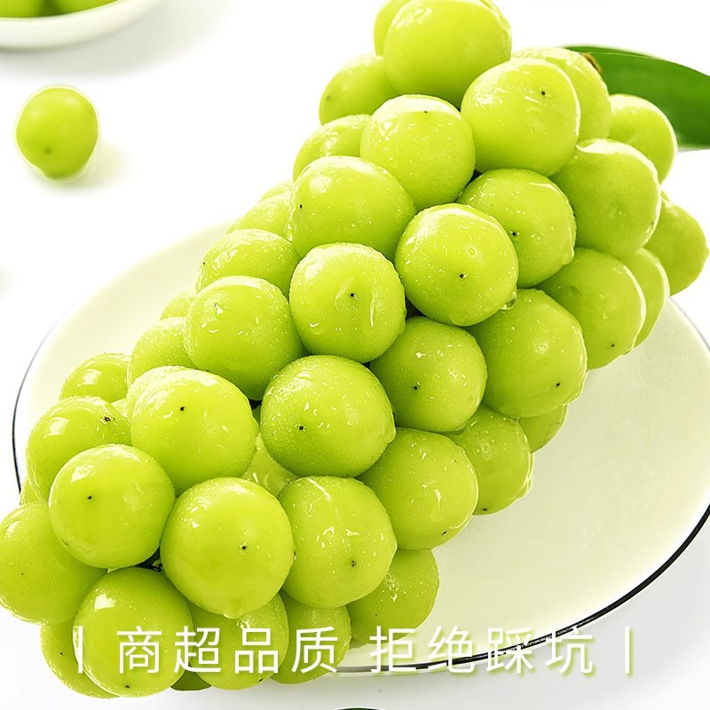 Sunshine Rose Grape Fresh Fruit 2.50kg Sunny King Grape Seedless Fragrant Seal Rinetti Green Box Shun Feng in Season