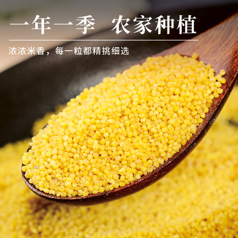 Yellow millet 500g wholesale vacuum loaded cereals farmhouse produced Shanxi new rice coarse grains Junyue Xi