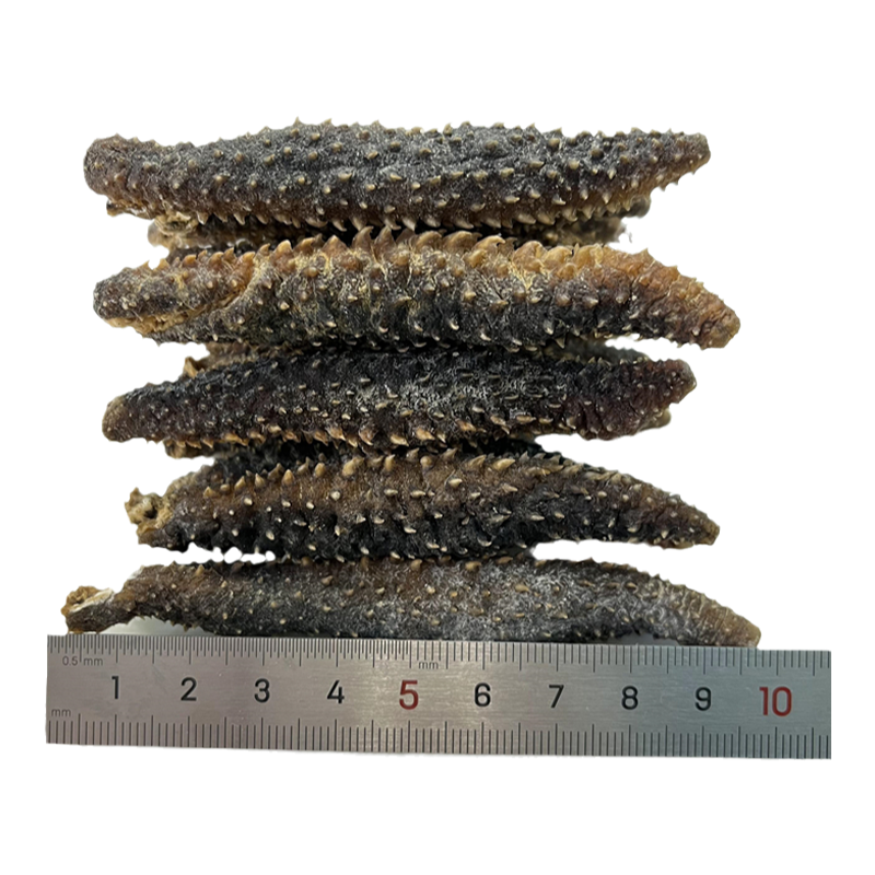 Wild Sea Cucumber Dried 50-500g Bulk Light Dried Small Apostichopus japonicus Pregnant Women Non-fresh Dalian Instant Liao Cucumber