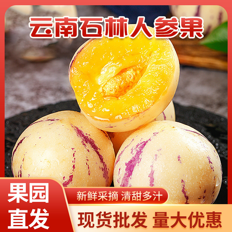 Гinseng Fruit из Шилин, Юннань 5кг крупные свежие фрукты с желтой мякотью, оптовая продажа