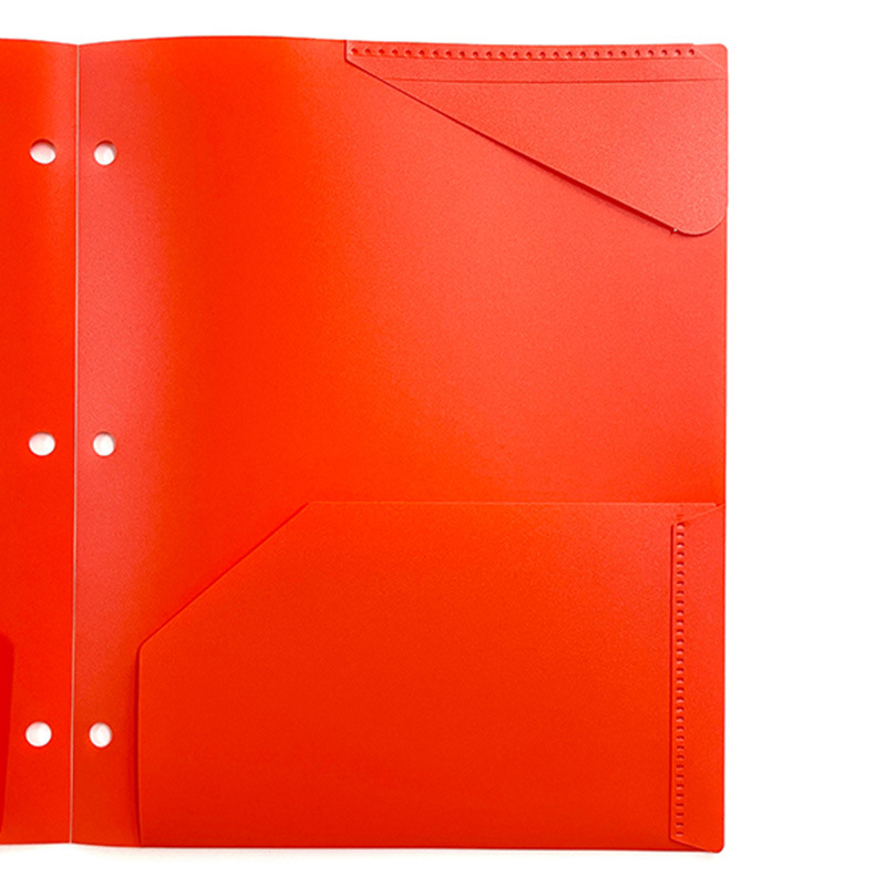 Amazon Three-Hole Clip Tadpole Clip Pp Folder Student Tadpole Clip Pp Plastic Flap Pocket Pants Pure Color Classification File Folder