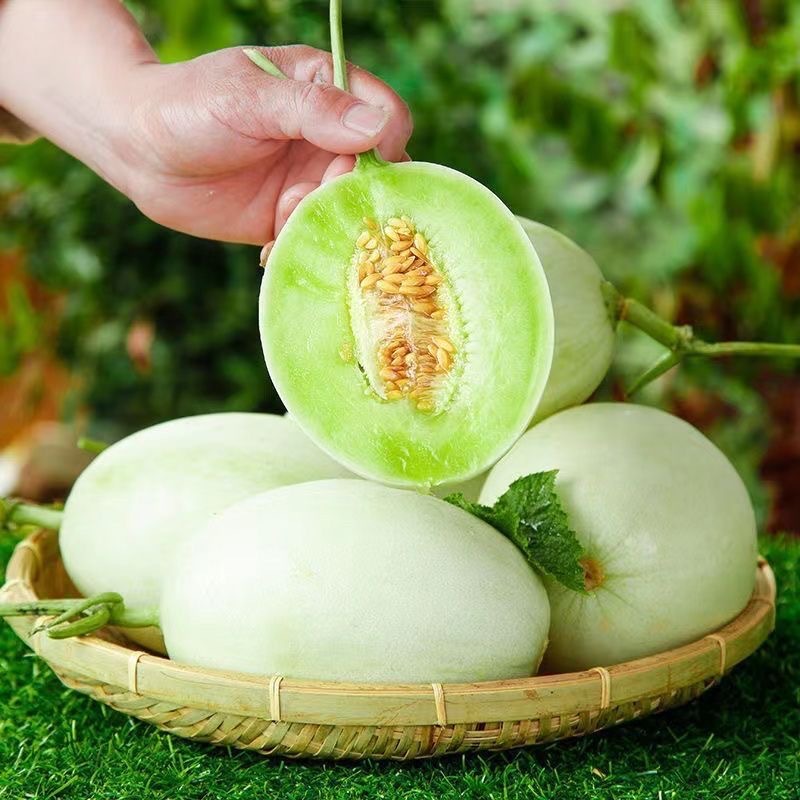 Authentic Jade Mushroom Melon 4.5kg Whole Box of Fresh Melon Fruit for Pregnant Women Soft Glutinous Crispy Melon 10 Wholesale Free Shipping 2.5kg Honey Melon