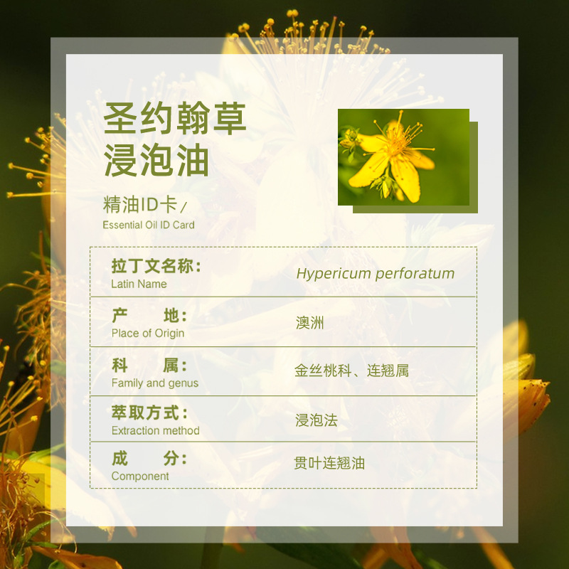 For Australia St. John's Wort Soak Oil Pure Aromatherapy Skin Care Raw Material Wholesale Base Oil St. John's Wort Soak Oil