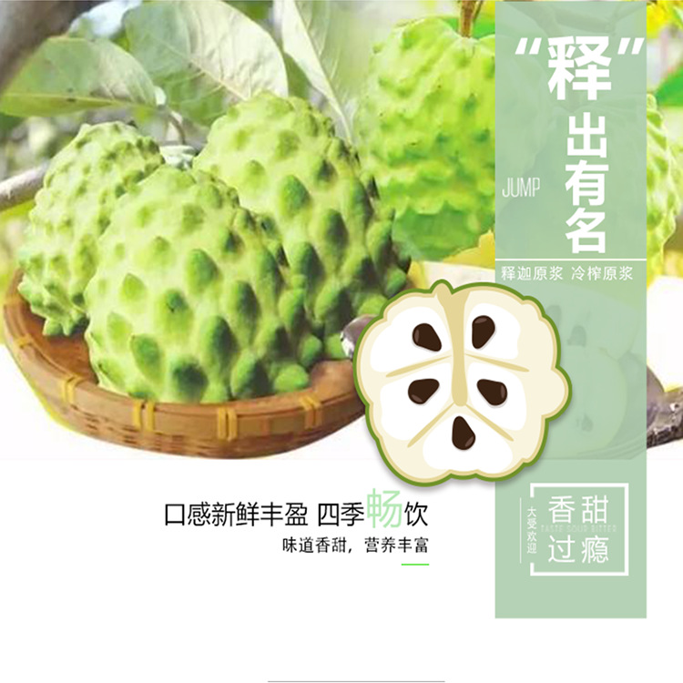 Spot Bottled Frozen Custard Apple Puree 1kg Freshly Squeezed Non-Concentrated Dessert Shop Juice Drink Raw Materials
