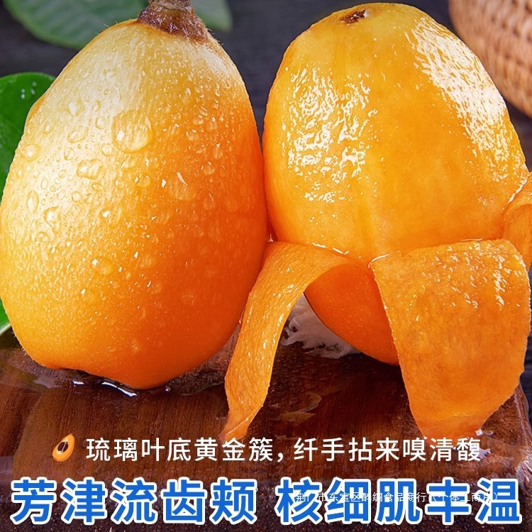 Sf Express Free Shipping Fresh Large Loquat Fruit 2.5kg Freshly Picked Seasonal Fruit for Pregnant Women Putian Shufeng Pipa Whole Box 3