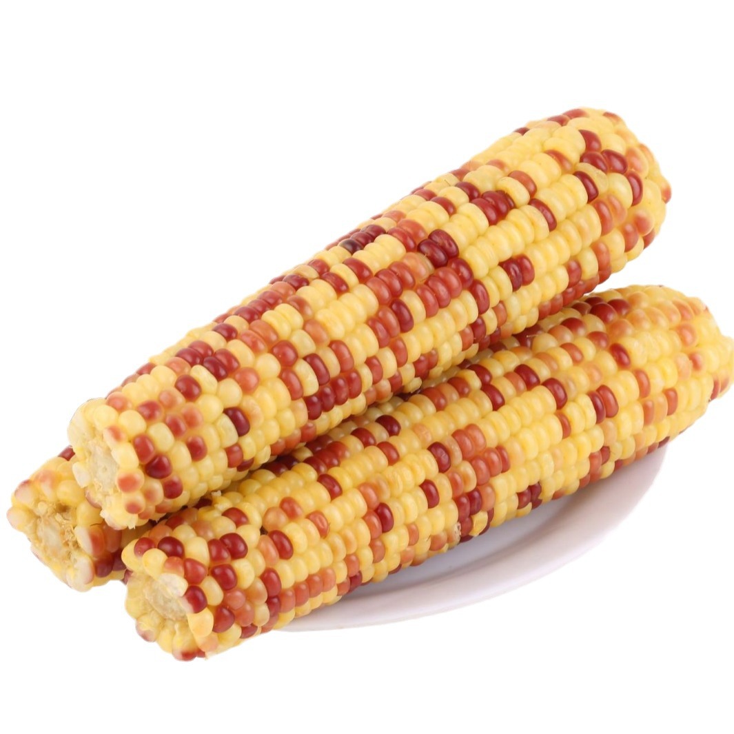 Special flower Sweet glutinous 12 independent packaging nutrition breakfast snacks northeast specialty quick-frozen incubator + ice bag