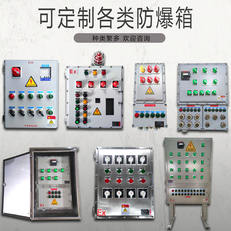 Stainless Steel Explosion-Proof Power Socket Lighting Power Control Box Petrochemical Plant Complete Set of Distribution Cabinet Explosion-Proof Box