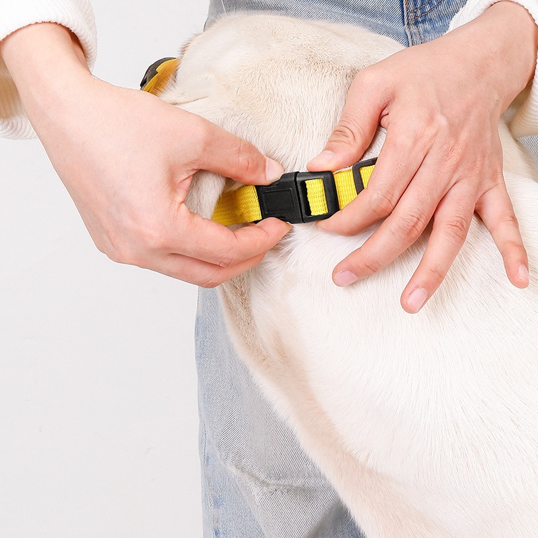 Factory Drinkable Water Breathable Pet Muzzle, Anti-Biting, Anti-Barking, Medium and Large Dog Mask, Dog Muzzle