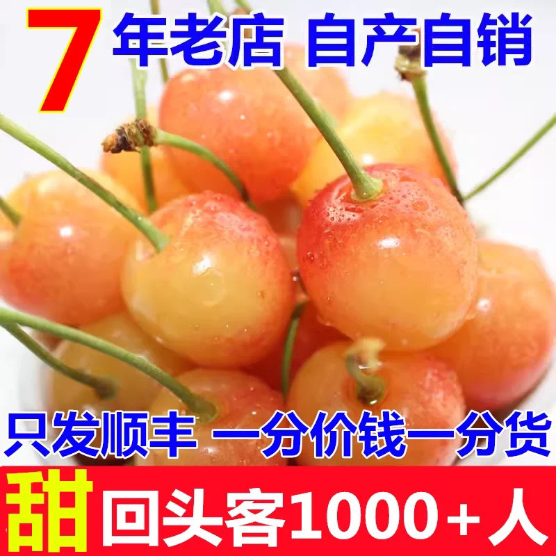 Шаньдун желтые вишни открытые Яньтай цитриновые желтые медовые золотые дожди вишни 5 фруктов свежие
