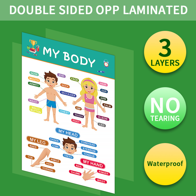 Cross-Border Children's Education Poster Kindergarten Primary School Classroom Rules Classroom Decoration Wall Chart Early Childhood Education Chart