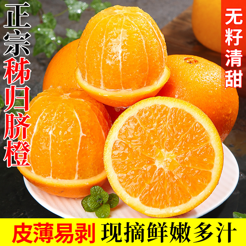 Аутентичные летние апельсины Цзигуи, апельсины с пупком, горные апельсины, свежие и свежесобранные сезонные фрукты оптом из места происхождения