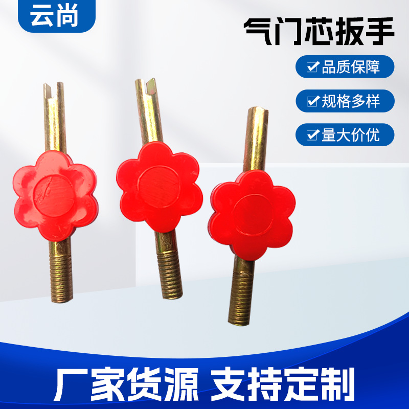Motorcycle Bicycle Valve Core Wrench Key Valve American Valve Inner Tube Deflation Tool Wire Opening Riding