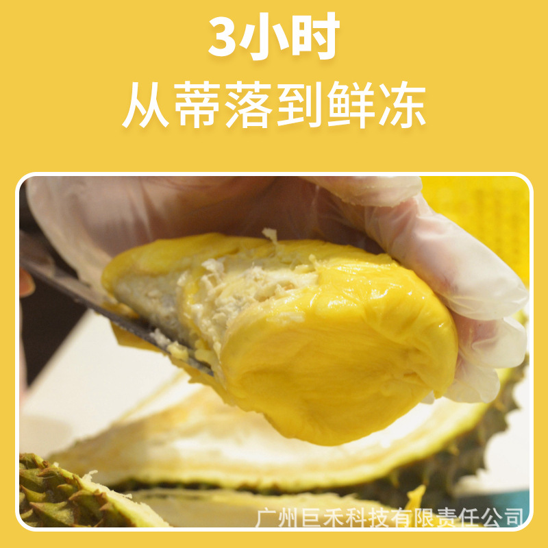 Thailand Wholesale Golden Pillow 3A Grade Tree Ripe Frozen Durian Pulp Fresh Seasonal Frozen Fruit Seedless Commercial Baking