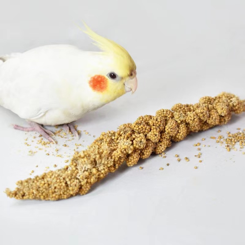 Новые закуски для попугаев из желтого проса, корм для птиц и хомяков