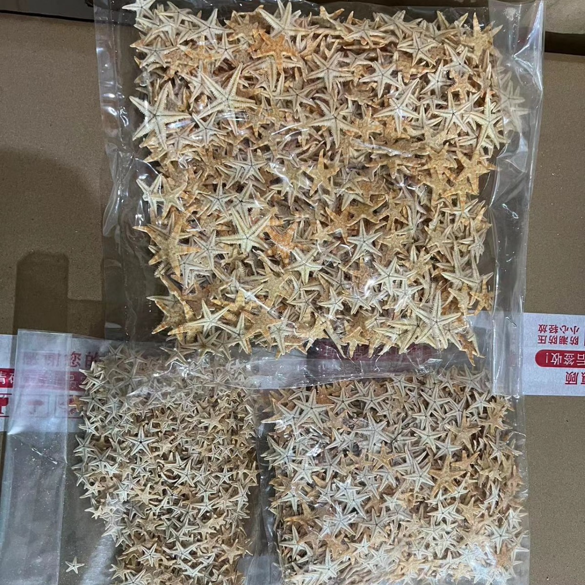 Handmade starfish beige starfish five-finger starfish flat starfish Mediterranean shooting props jewelry 1-2cm