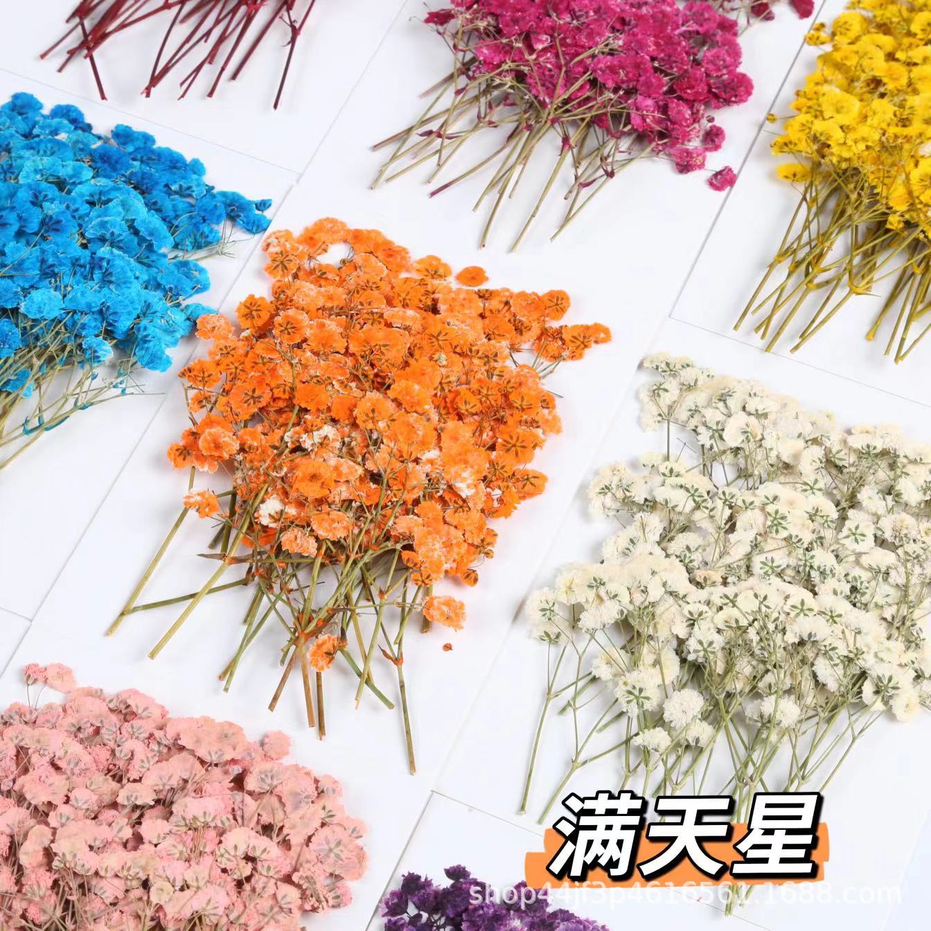 Сухие цветы гипсофилы, цветочные образцы для рукоделия, материалы для ручных закладок и открыток