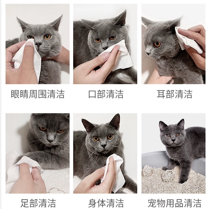 Popular Pet Local Cleaning Cotton Pads 50 Pieces Mild Cleaning Wipes Customized by the Manufacturer