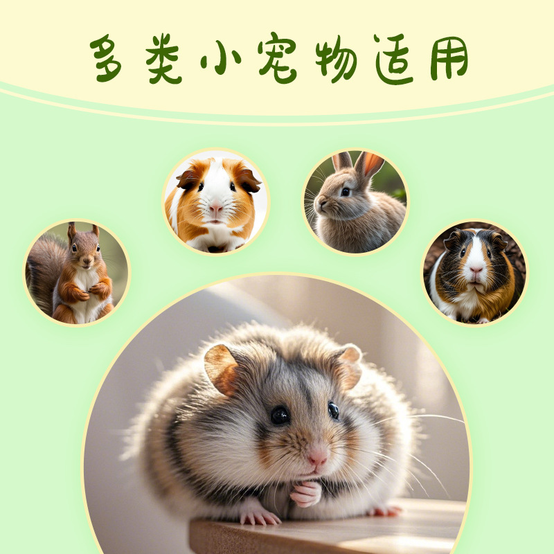 Hamster Molar Sweet Bamboo Rabbit Chinchilla Guinea Pig Universal Molar Snack Chewing Wood 1kg Pet Special Molar Sweet Bamboo