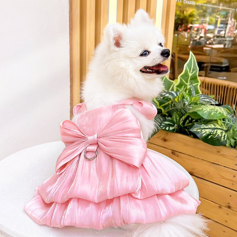 Dog Leash Teddy Bichon French Bulldog Spring and Summer Dress Dog and Cat Clothing Supplies Pet Wedding Dress Cat Dress