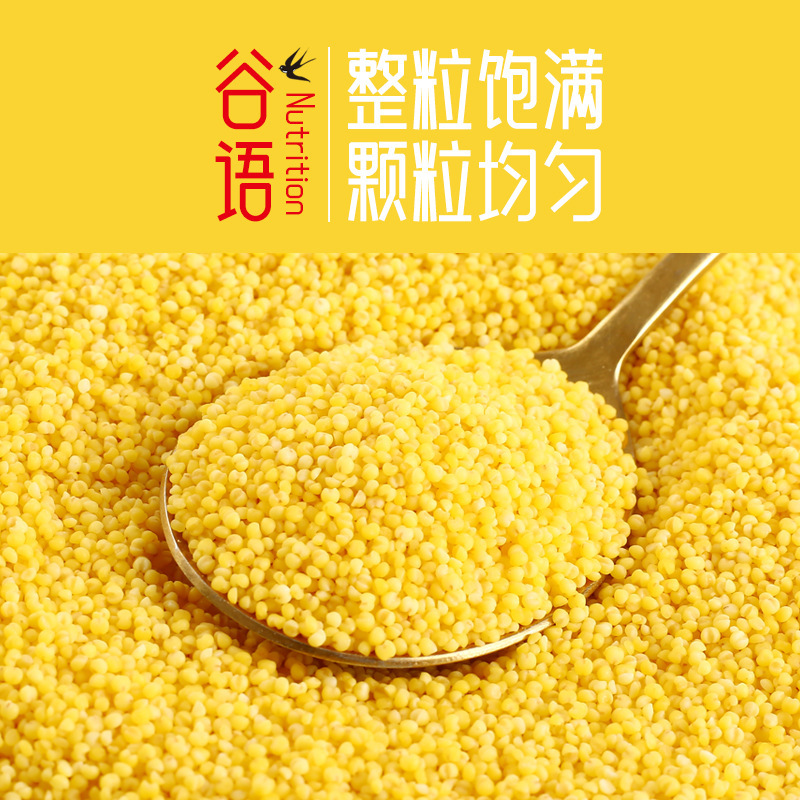 Inner Mongolia yellow millet 500g vacuum packaging new rice cereals coarse grains fragrant glutinous millet porridge millet wholesale