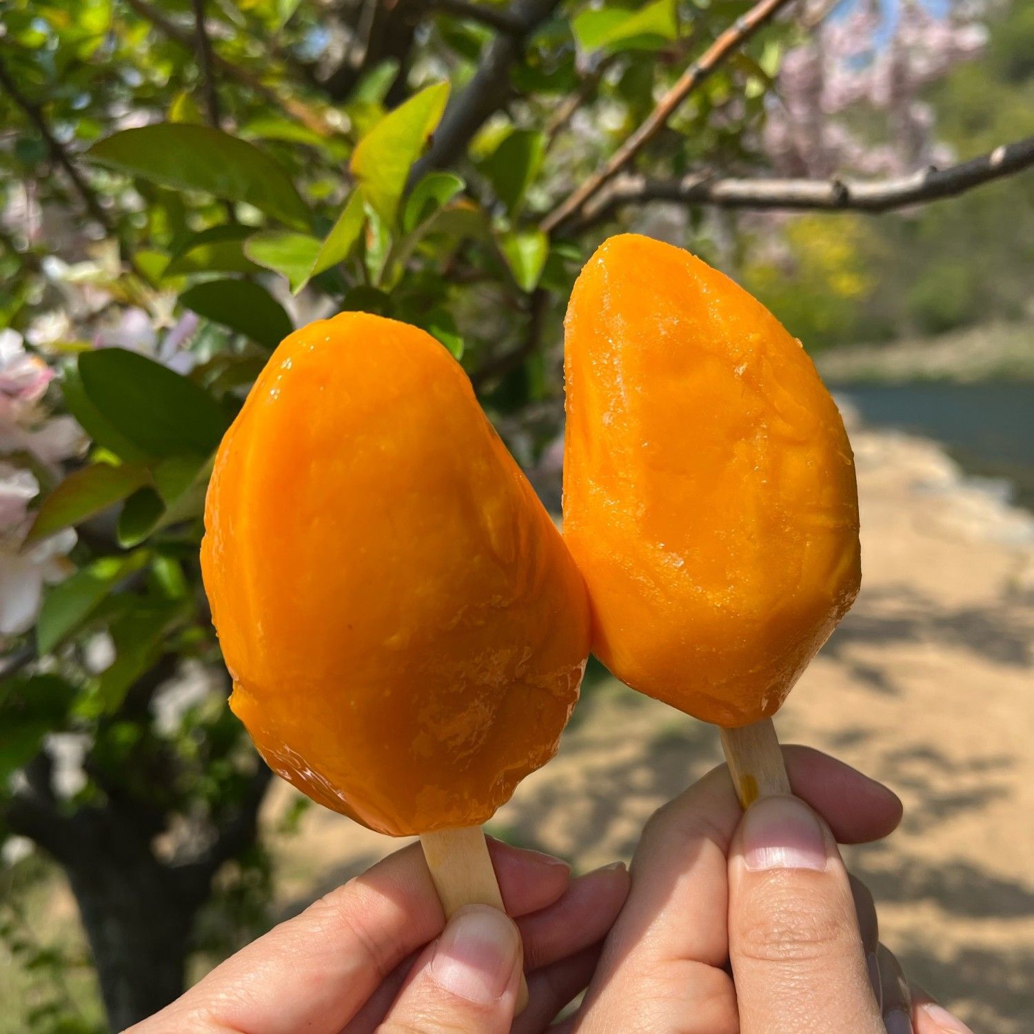 Frozen Small Taman Mango Ice Cream 0 Added Mango Fruit Ice Cream Wholesale Whole Mango Popsicle Bag