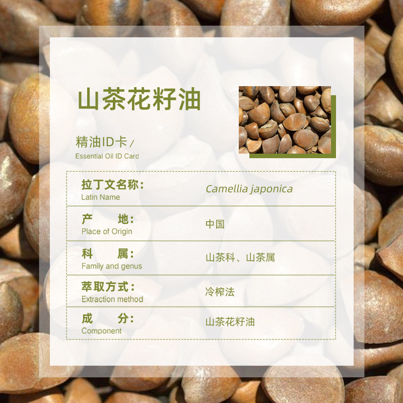 Directly Supplied from the Place of Origin, Chinese Camellia Seed Oil, Cold-Pressed Pure Aromatherapy Facial Skin Care Raw Materials, Wholesale Base Oil, Camellia Seed Oil