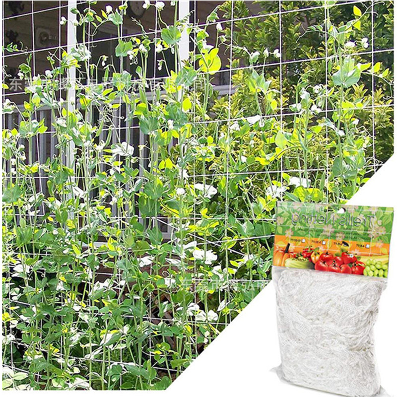 Cross-border plant Grid Net heavy polyester plant support vine climbing hydroponic garden Net multi-purpose climbing vine net