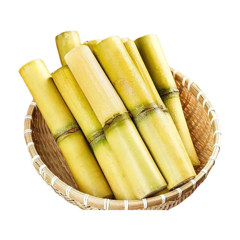 Yunnan Golden Sugar Cane Fresh Fruit Sweet Yellow Peel Mandarin Sugar Cane Free Shipping Seasonal Sugar Cane Drop Shipping