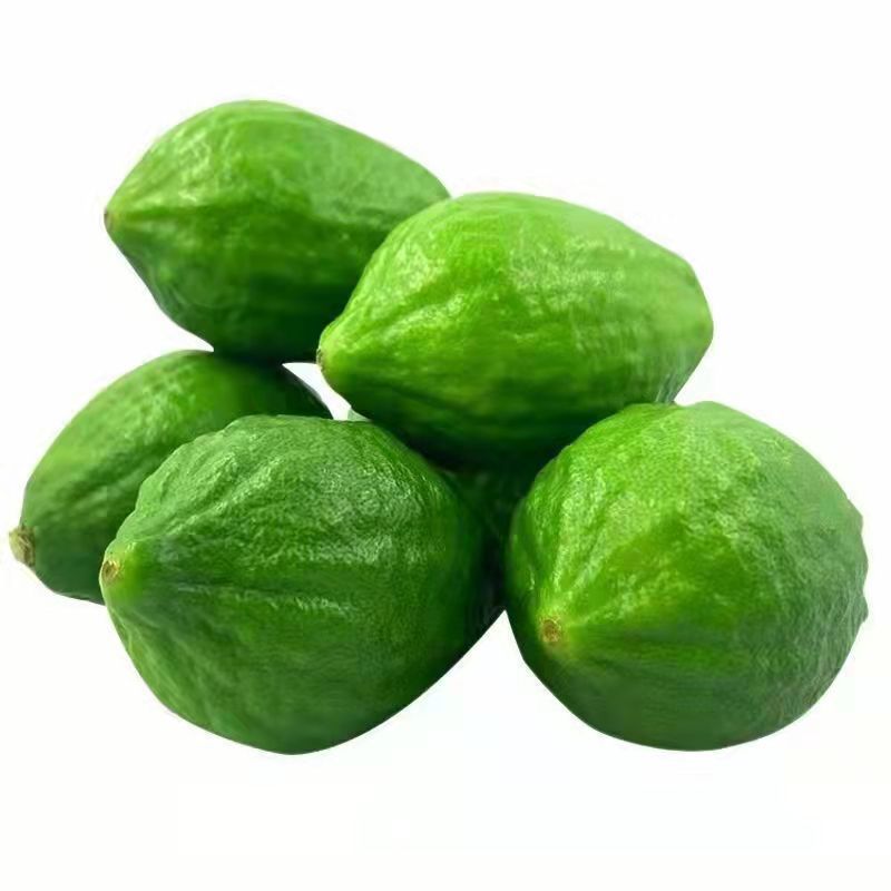 Свежий тропический зеленый лимон парфюмерный из Гуандуна, безкосточковый, первого сорта, оптовая продажа, эксклюзив для магазинов молочного чая