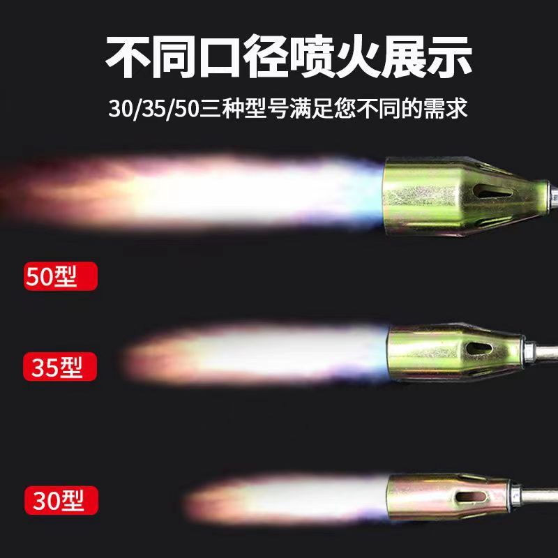 Zhongyuan Dingli Liquefied Gas Flame Gun Household Pig Hair Spray Gun Blowtorch Waterproof Disinfection Welding Gun Baking Gun