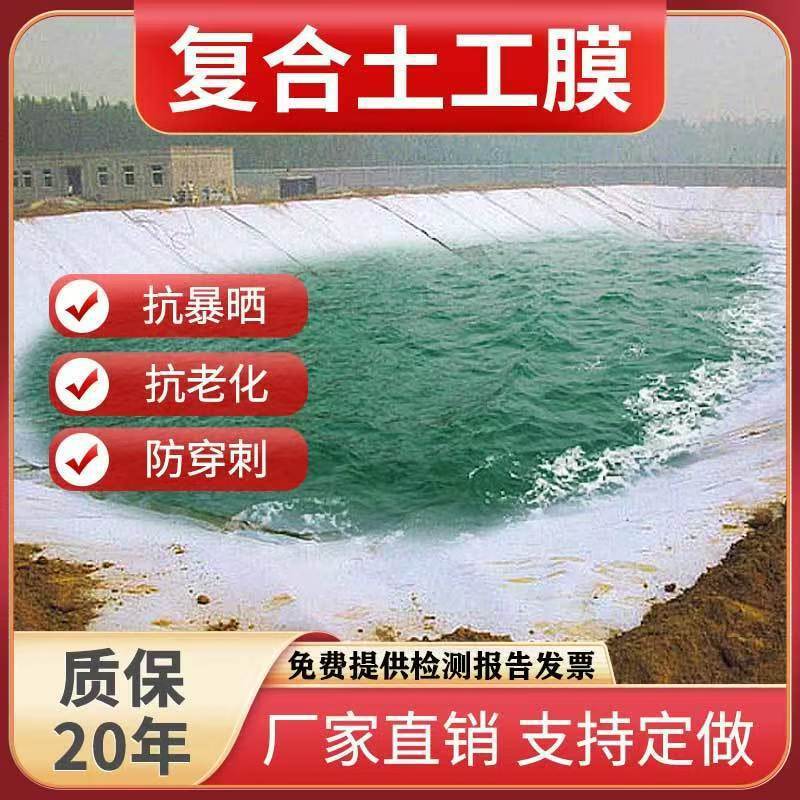 Composite Geomembrane Anti-Seepage and Moisture-Proof Reservoir Fish Pond Waterproof Slope Protection Special Hdpe Two Cloth One Film One Cloth One Film