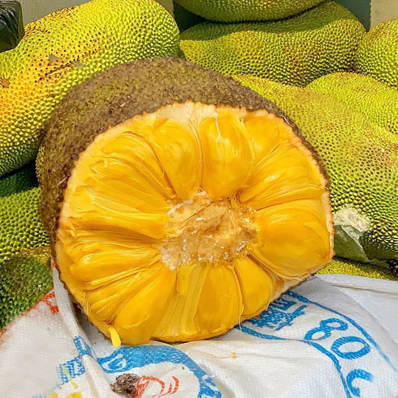 Hainan Sanya Yellow Flesh Jackfruit Seasonal Tropical Fresh Fruit Jackfruit Fake Durian One Whole Free Shipping Red