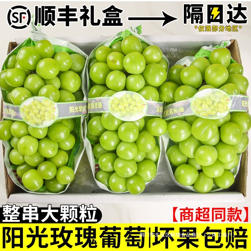 Sunshine Rose Grade 5A Sunshine Rose Grape Fresh Seasonal Fruit Green Grape Seedless Green Grape Sweet