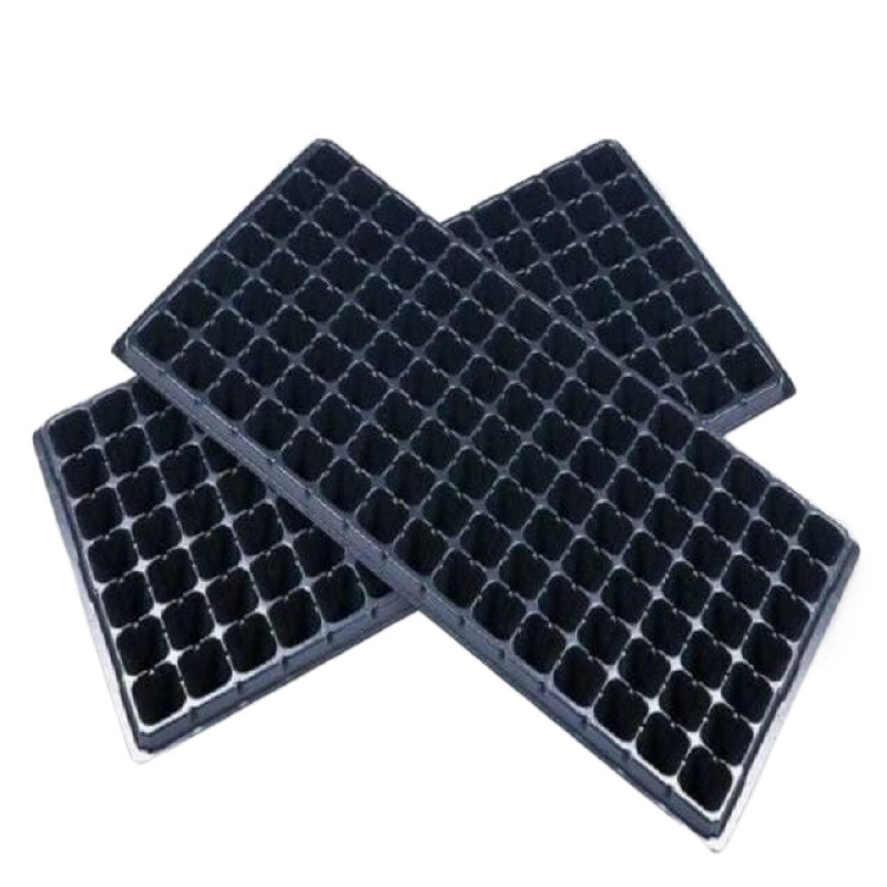 Seedling Tray Tomato Pepper Plug Tray Seedling Succulent Leaf Insert Box Vegetable Seedling Tray Strawberry Cultivation Pot