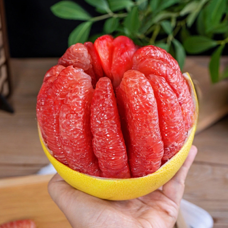 Spot Fujian Three Red Pomelo Red Flesh Honey Pomelo Thin Skin Large Fruit Fresh Sweet and Juicy Seasonal Fresh Fruit Free Shipping