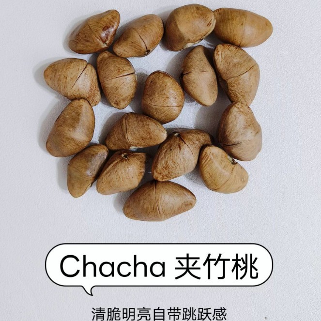 Nutshell Wind Chime DIY Material Package Handmade Sound Beam Rattle Pendant Indonesian Black Fruit Shell Homemade Accessories Package