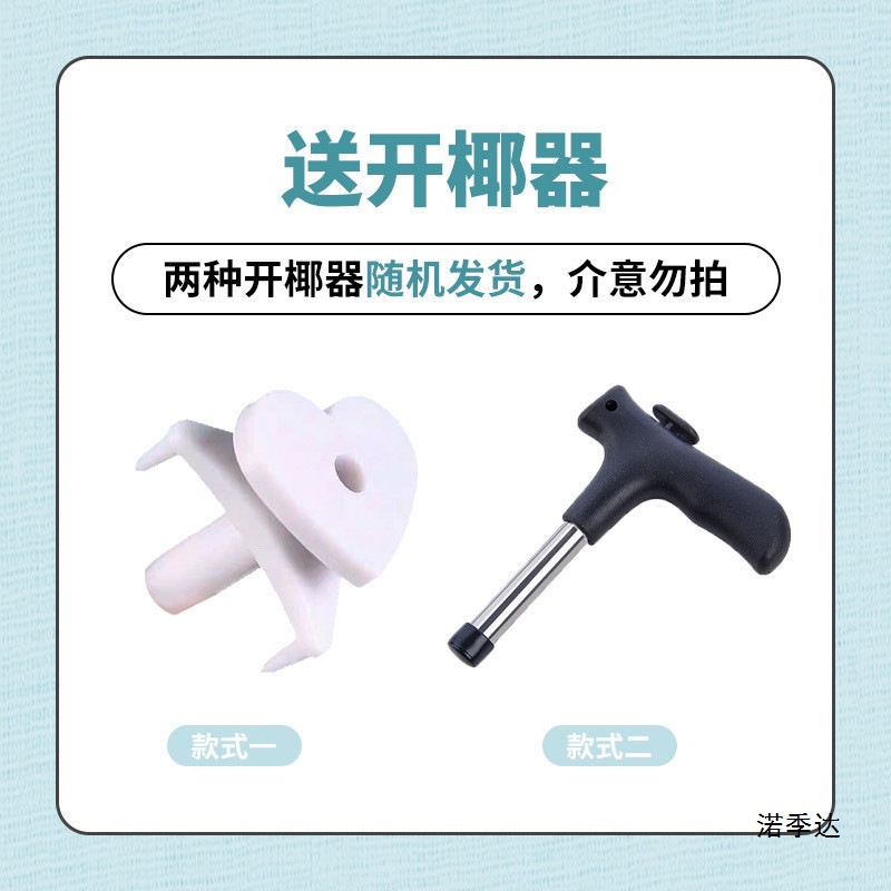 Thai Coconut Green 9 Large Fruit Perfume Fresh Coconut Wholesale Seasonal Fruits for Pregnant Women