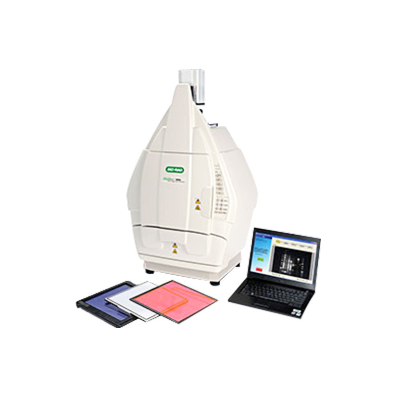 American Bio-Rad Gel Imaging System Chemidoc/Geldoc Gel Document System