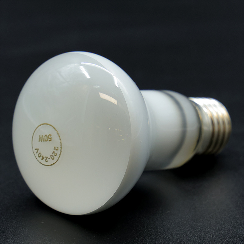 Reptile Climbing Pet Daytime Heating Bulb Frosted Daylight R63 50W
