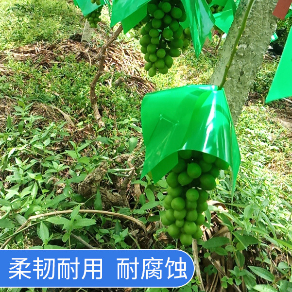 Grape Umbrella Cover Sunshade Special Bag Sun Protection Rose Umbrella Hat Sunburn Prevention Rain Protection Crack Prevention Fruit Umbrella Bag