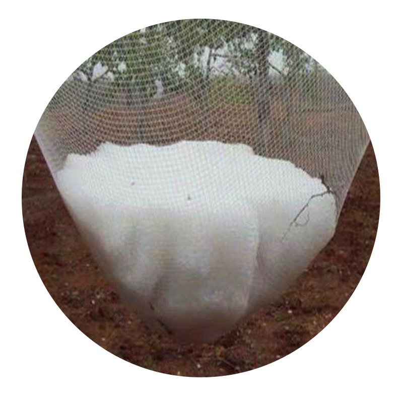 Orchard Farmland Hail Prevention Bird Net Rice Fish Pond Skynet Protection Net Grape Cherry Apple Tree Hail Prevention