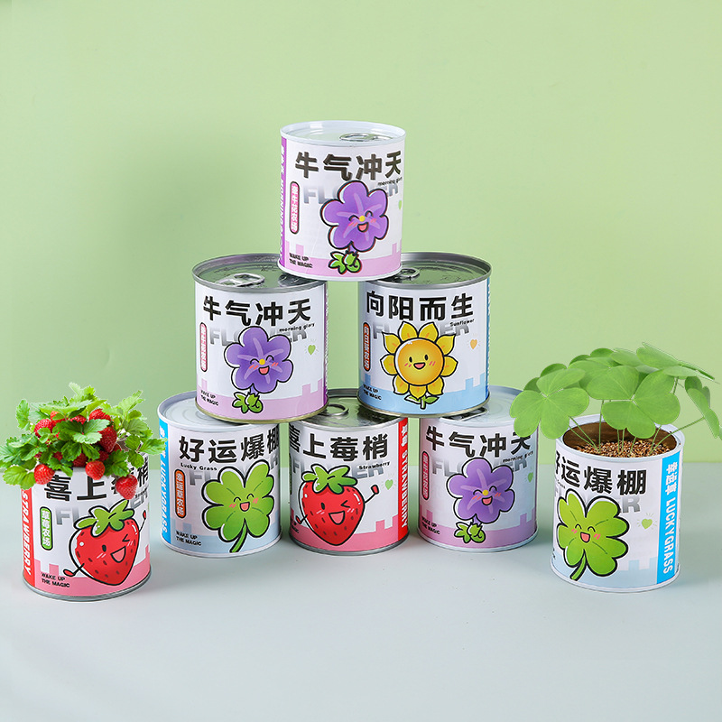 Canned Planting Mini DIY Popular Planting Small Potted Jar Student Creative Gift Potted Plant Blind Box